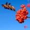 post-title